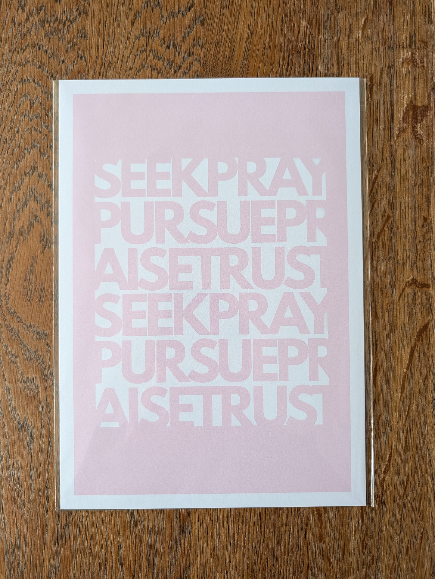 Seek Pray Pursue Praise Trust Print Christian t-shirt, view 2 | Face of Faith faith apparel